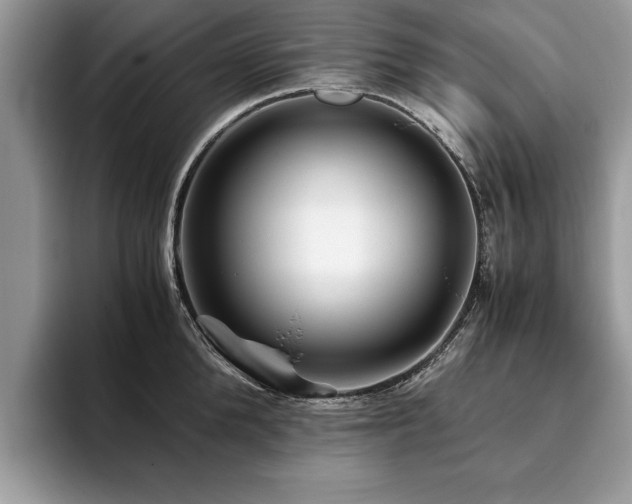 X0000094080904200710191419