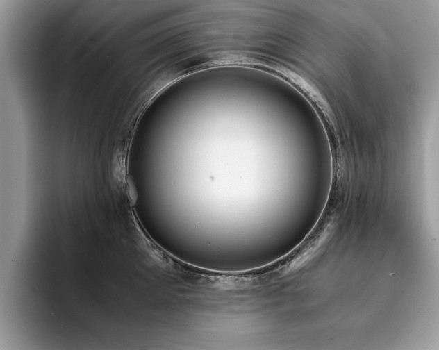 X0000094080905200710191419