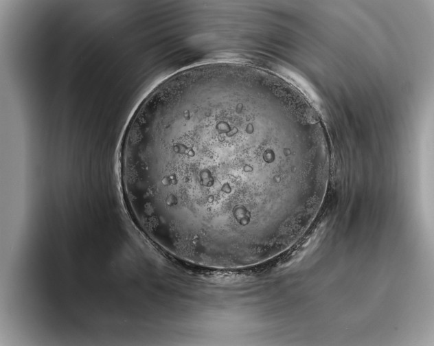 X0000094080907200710191419