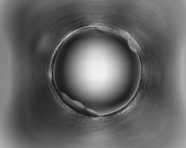 X0000094080908200710191419