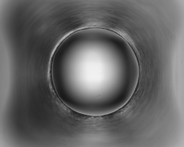 X0000094080912200710191419