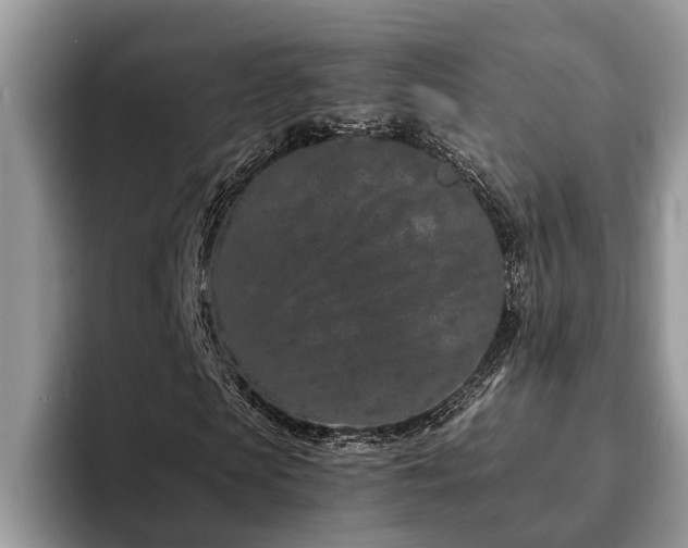 X0000094080913200710191418