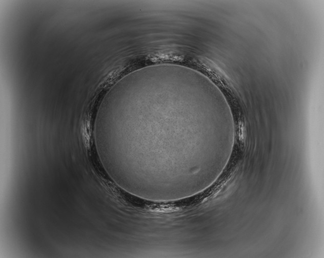 X0000094080915200710191418