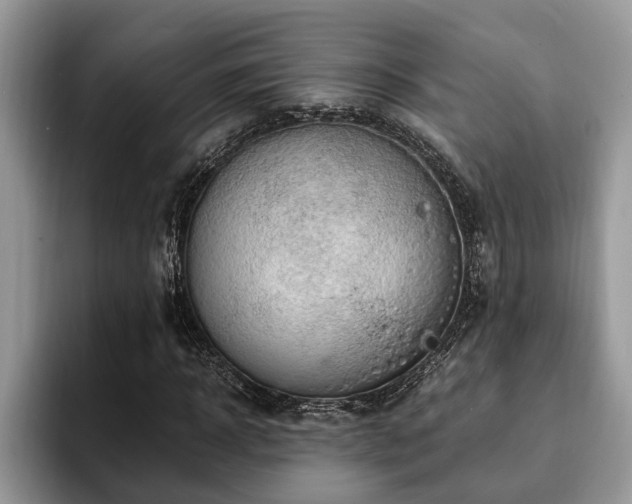 X0000094080918200710191418