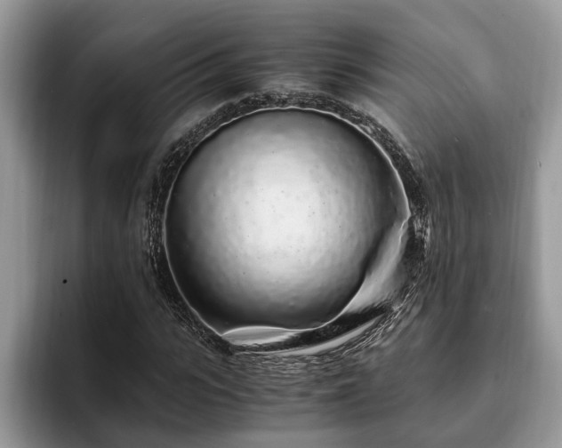 X0000094080919200710191418