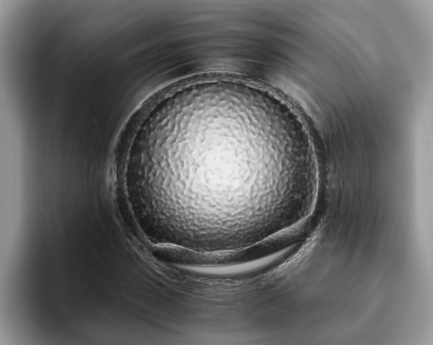 X0000094080923200710191418