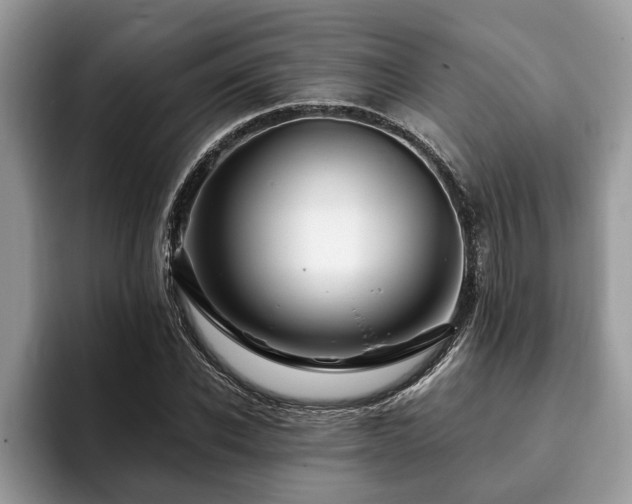 X0000094080926200710191419