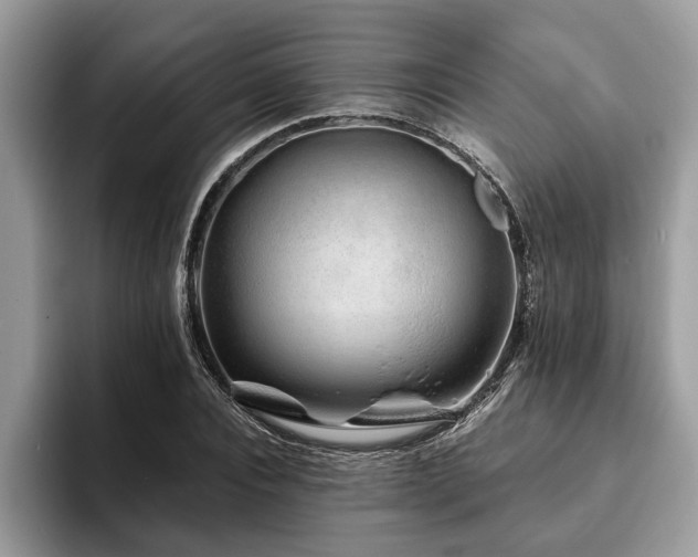 X0000094080928200710191419