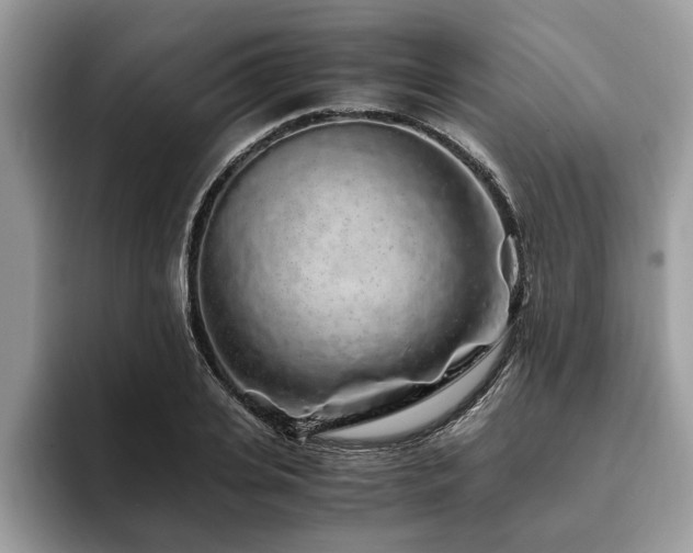 X0000094080935200710191419