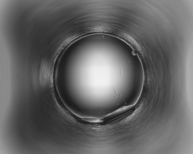 X0000094080938200710191419