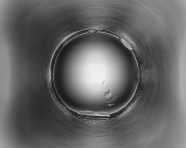 X0000094080940200710191419