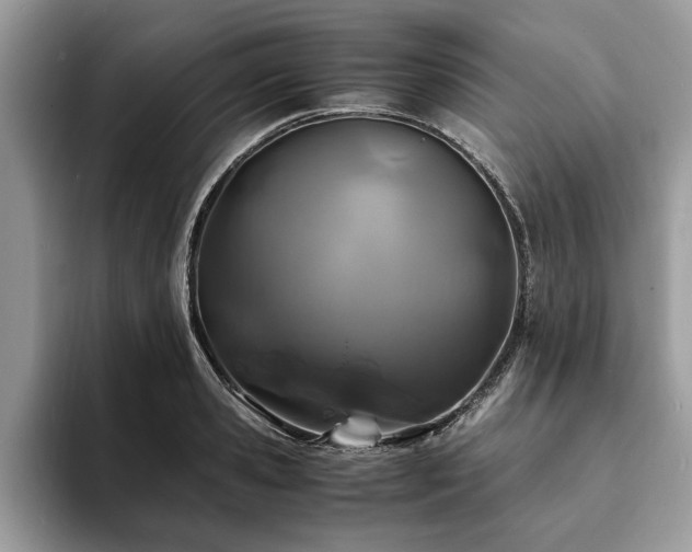 X0000094080941200710191419