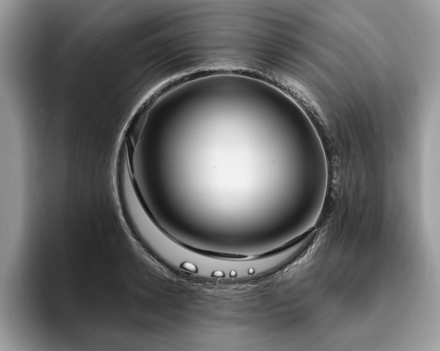 X0000094080942200710191419