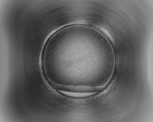 X0000094080944200710191419