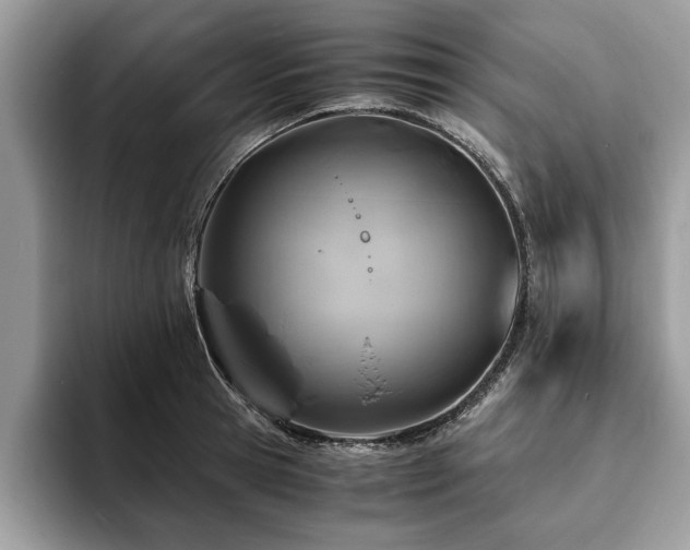 X0000094080945200710191419