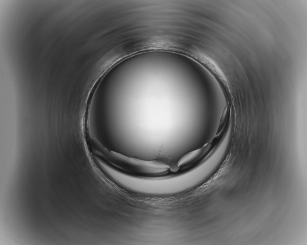 X0000094080946200710191419