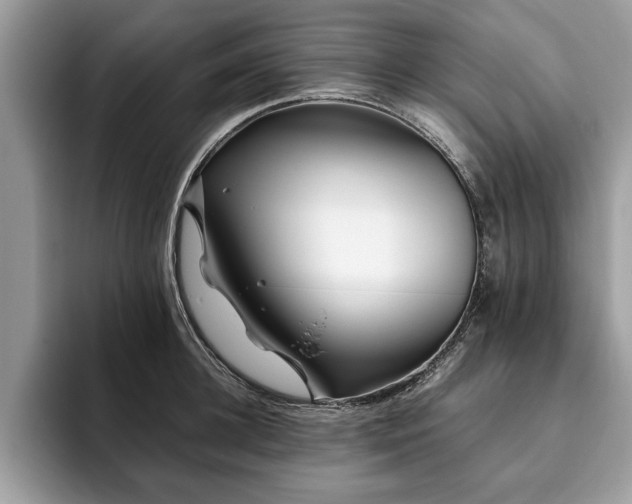 X0000094080948200710191419