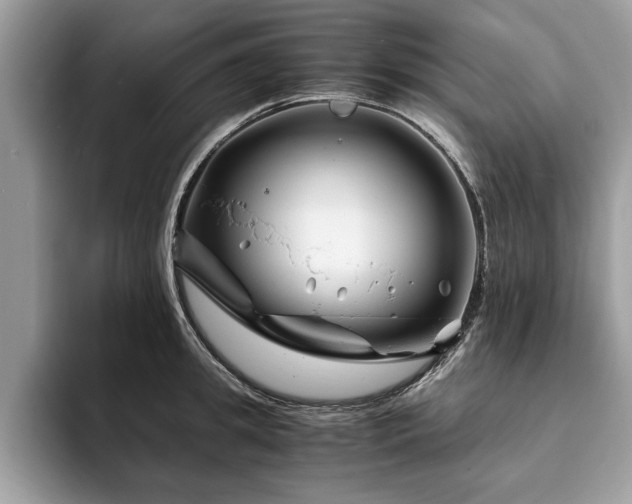 X0000094080949200710191419