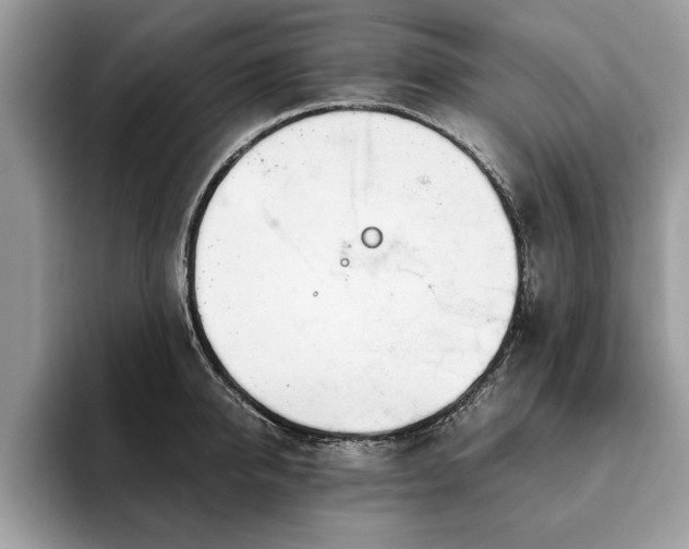 X0000094080950200710191419