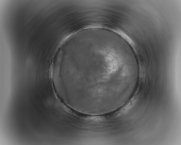 X0000094080953200710191419