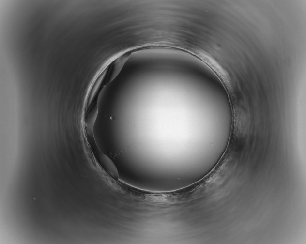 X0000094080956200710191419