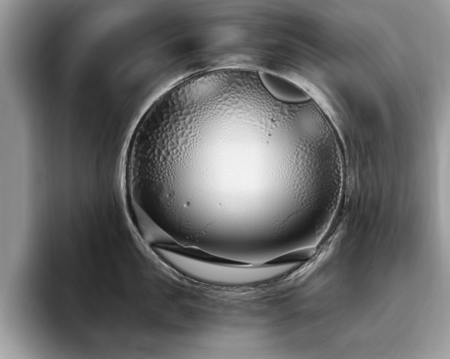 X0000094080957200710191419