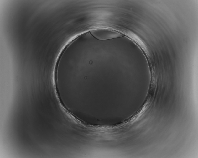 X0000094080958200710191419