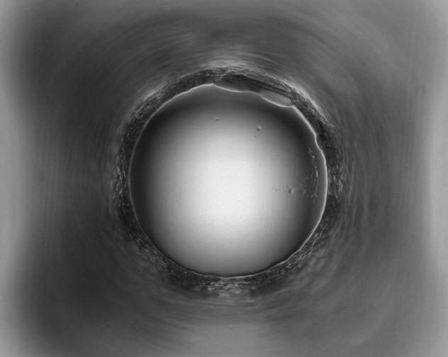 X0000094080967200710191418