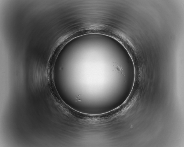 X0000094080970200710191418