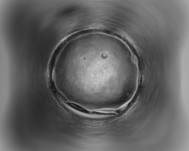 X0000094080975200710191418