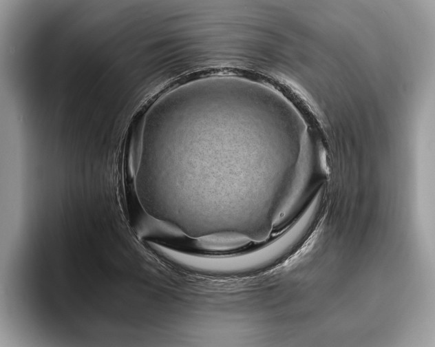 X0000094080977200710191418