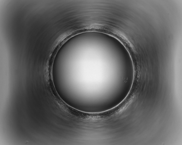 X0000094080978200710191418