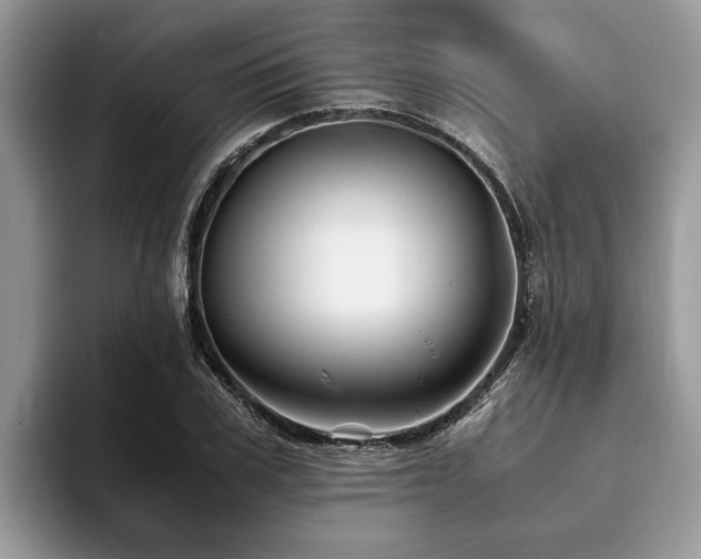 X0000094080979200710191418