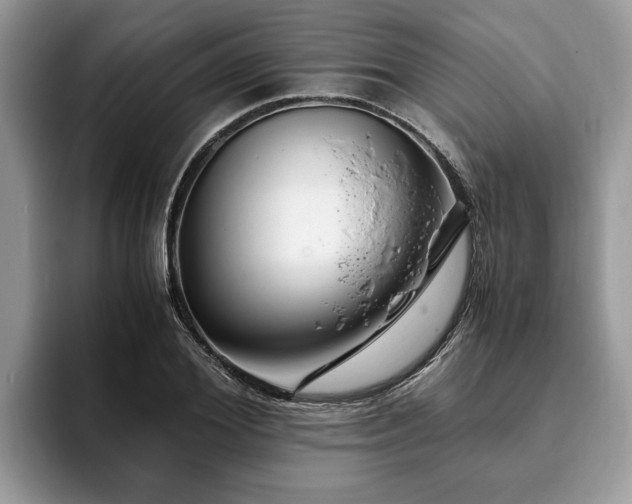 X0000094080980200710191418