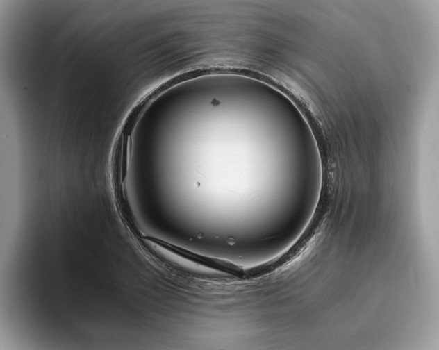 X0000094080981200710191418