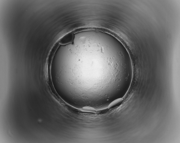 X0000094080982200710191418