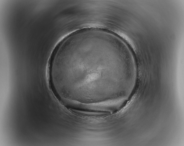 X0000094080983200710191418