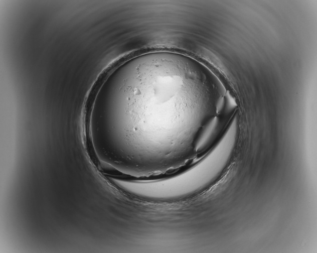 X0000094080984200710191418