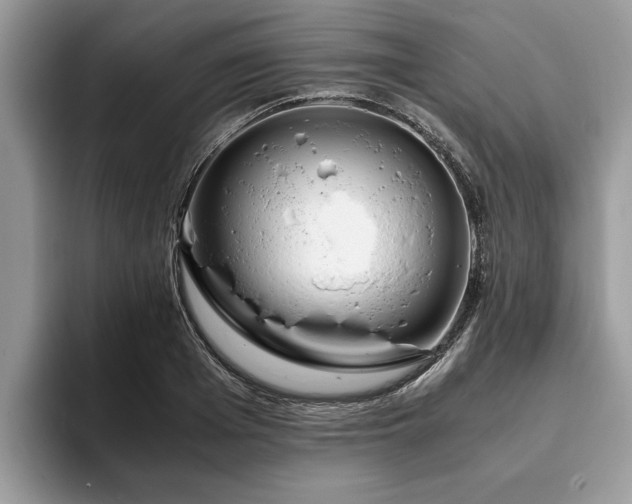 X0000094080985200710191418