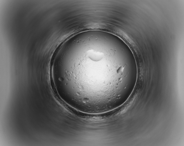 X0000094080986200710191418