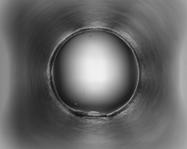 X0000094080990200710191418