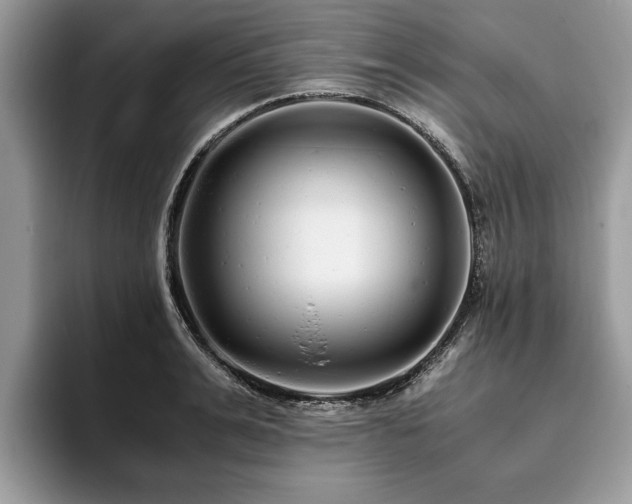 X0000094080991200710191418