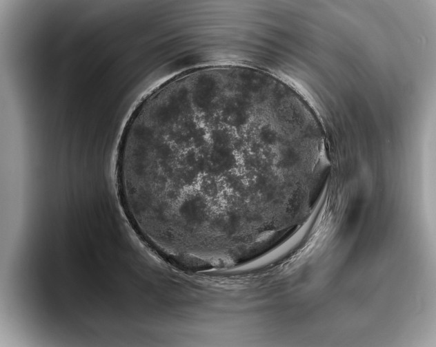 X0000094080995200710191418