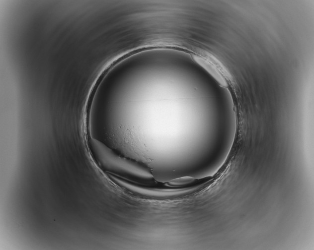 X0000094080996200710191418