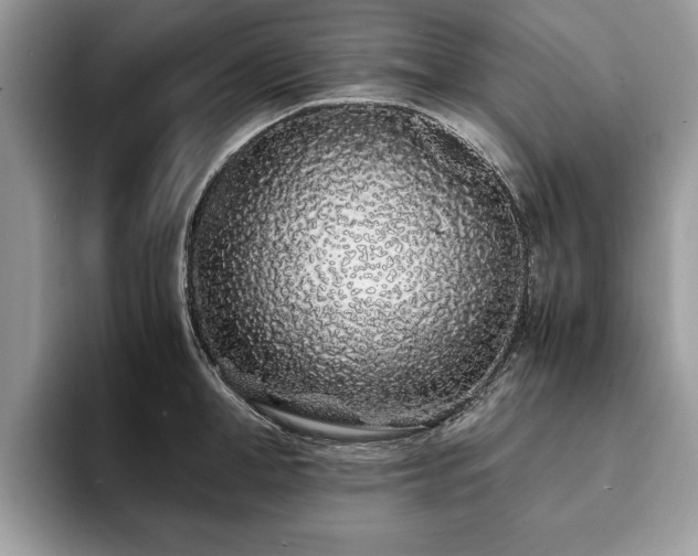 X0000094080998200710191418