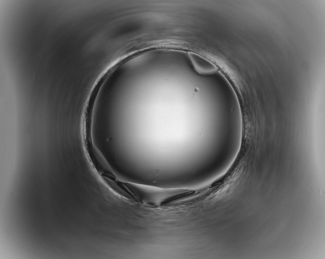 X0000094080999200710191418