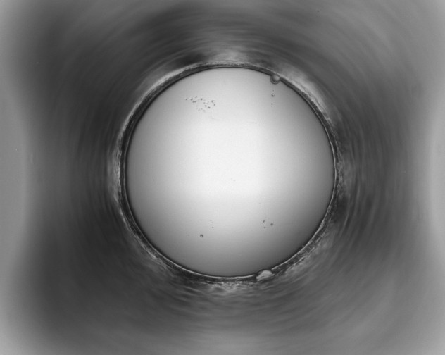 X0000094081000200710191418