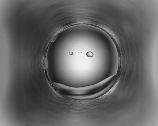 X0000094081001200710191418