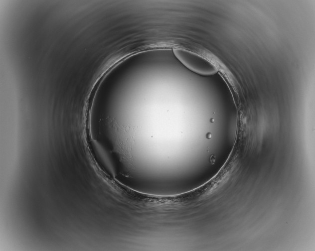 X0000094081002200710191418