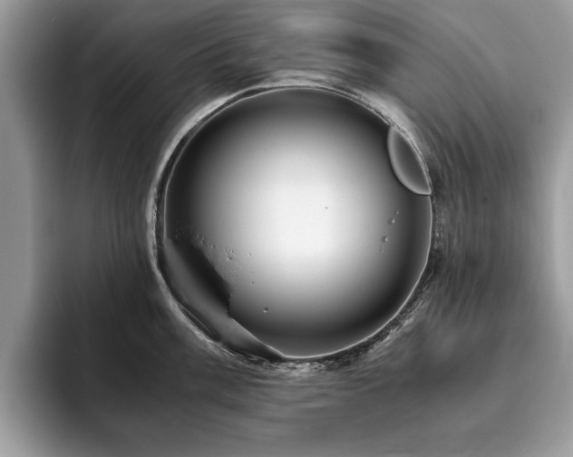 X0000094081003200710191418